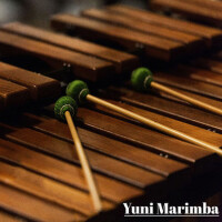 The Marimba專輯_Yuni MarimbaThe Marimba最新專輯