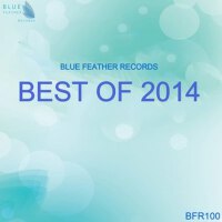 Blue Feather Records - Best of 2014