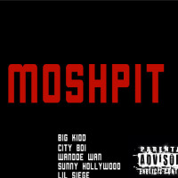 Moshpit (Explicit)專輯_Big KiddMoshpit (Explicit)最新專輯