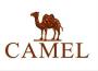 Camel駱駝