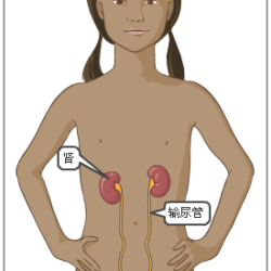 摩登先生圖片照片_摩登先生