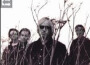 Tom Petty & the Heartbreakers歌曲歌詞大全_Tom Petty & the Heartbreakers最新歌曲歌詞