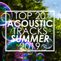 Top 20 Acoustic Tracks Summer 2019(Instrumental)