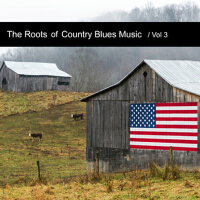 The Roots of Country Blues Music, Vol. 3