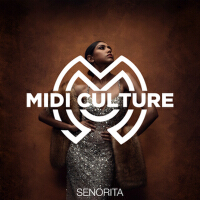 Senorita專輯_Midi CultureSenorita最新專輯