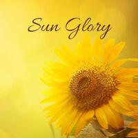 Sun Glory