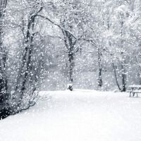 雪落圖片照片_雪落