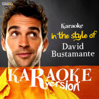 Karaoke (In the Style of David Bustamante)