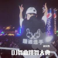 DJ舞曲跳舞大典