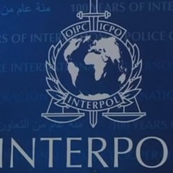 Interpol圖片照片_Interpol