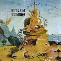 Birds and Buildings歌曲歌詞大全_Birds and Buildings最新歌曲歌詞