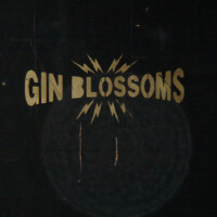 Gin Blossoms圖片照片_Gin Blossoms