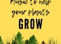 Music to Help Your Plants Grow專輯_Kavin RacurMusic to Help Your Plants Grow最新專輯