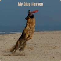 My Blue Heaven