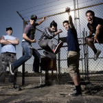 Zebrahead