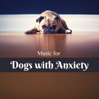 Music for Dogs with Anxiety – Separation Anxiety Relief