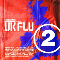 The UK Flu (Volume 2)