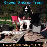 Live at Rabbit Valley Fest 2014