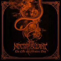 The Noctambulant