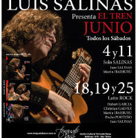 Luis Salinas