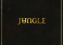 Jungle歌曲歌詞大全_Jungle最新歌曲歌詞