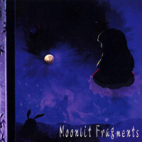 Moonlit Fragments