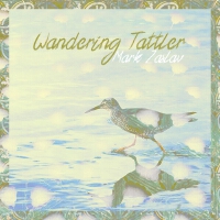 Wandering Tattler