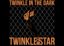 星火 TWINKLE IN THE DARK專輯_閃星TwinkleStar星火 TWINKLE IN THE DARK最新專輯