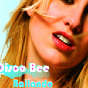 Disco Bee