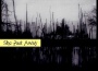 She Past Away歌曲歌詞大全_She Past Away最新歌曲歌詞