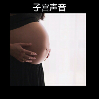 子宮聲音