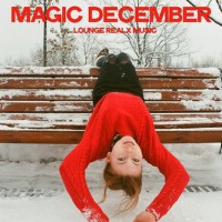 Magic December (Lounge Relax Music)專輯_Davey EvansMagic December (Lounge Relax Music)最新專輯