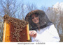 Beekeeper