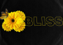 BLISS專輯_KianBLISS最新專輯