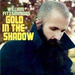 Gold in the Shadow專輯_William FitzsimmonsGold in the Shadow最新專輯