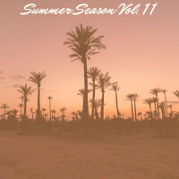 Summer Season Vol. 11專輯_Anty FlexSummer Season Vol. 11最新專輯