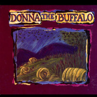 Donna The Buffalo圖片照片_Donna The Buffalo