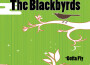 Gotta Fly專輯_The BlackbyrdsGotta Fly最新專輯