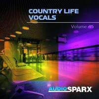 Country Life Vocals Volume 45專輯_David Van WalkerCountry Life Vocals Volume 45最新專輯