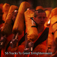 56 Tracks To Greet Enlightenment