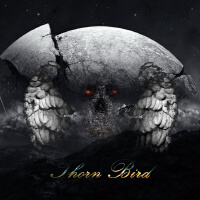 Thorn Bird