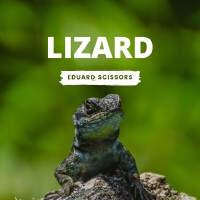 Lizard