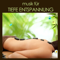 Meister der Entspannung und Meditation歌曲歌詞大全_Meister der Entspannung und Meditation最新歌曲歌詞