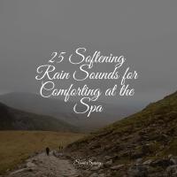 25 Softening Rain Sounds for Comforting at the Spa