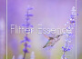 Flitter Essence專輯_Z8phyRFlitter Essence最新專輯