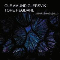 Ole Amund Gjersvik歌曲歌詞大全_Ole Amund Gjersvik最新歌曲歌詞