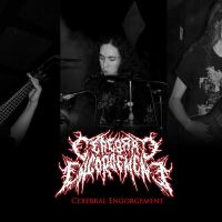 Cerebral Engorgement