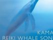 Reiki Whale Song 靈氣：