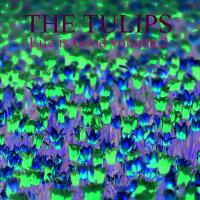 The Tulips歌曲歌詞大全_The Tulips最新歌曲歌詞