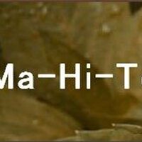 Ma-Hi-Te最新專輯_新專輯大全_專輯列表